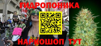 молекула духа Ярославль