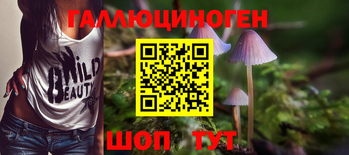 Галлюциногенные грибы прущие грибы  Галлюциногенные грибы прущие грибы  Вход с VPN  Аша 