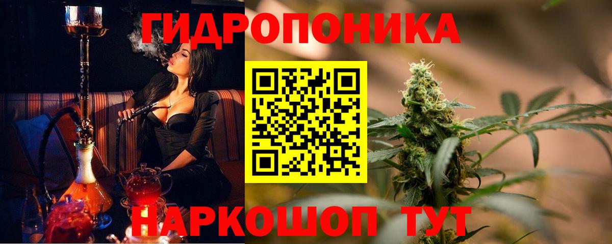 Канабис LSD WEED  Канабис гибрид  Бошки марихуана планчик  Вход с VPN  Марихуана AK-47  Аша 